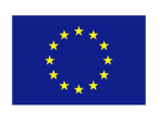 Union Européenne